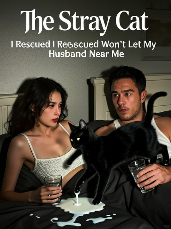 The Stray Cat I Rescued Won’t Let My Husband Near Me The Stray Cat I Rescued Won’t Let My Husband Near Me